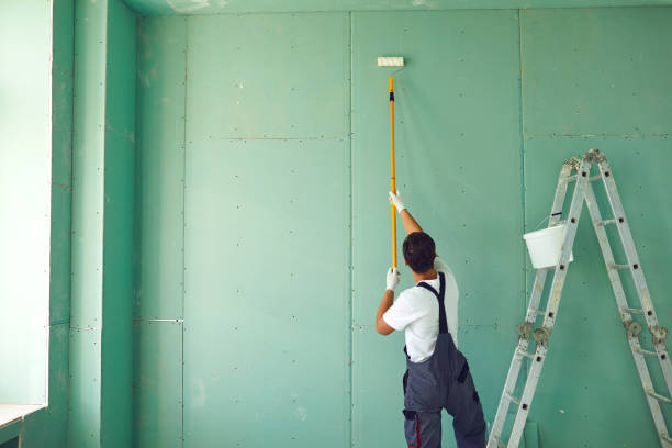 Best Attic Mold Removal  in Waterman, IL