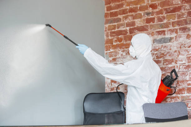Best Mold Documentation for Insurance Claims  in Waterman, IL