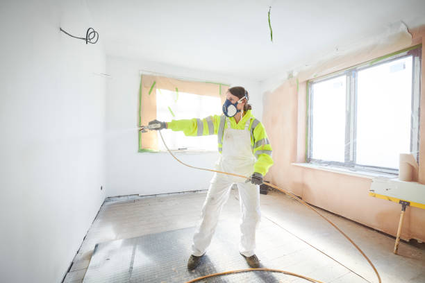 Best Attic Mold Removal  in Waterman, IL
