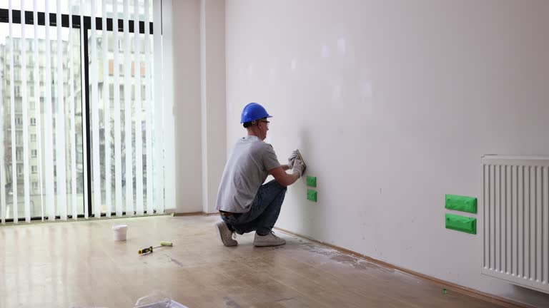 Best Mold Remediation for Vacation Homes  in Waterman, IL