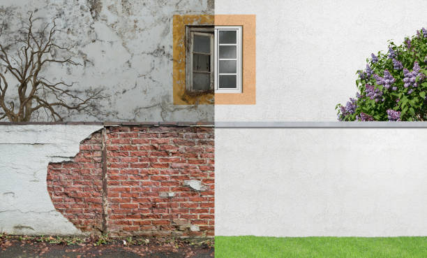 Best Real Estate Mold Inspection  in Waterman, IL