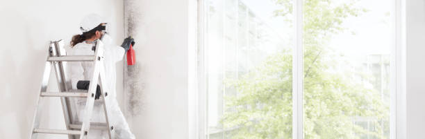 Best Indoor Air Quality Assessment  in Waterman, IL