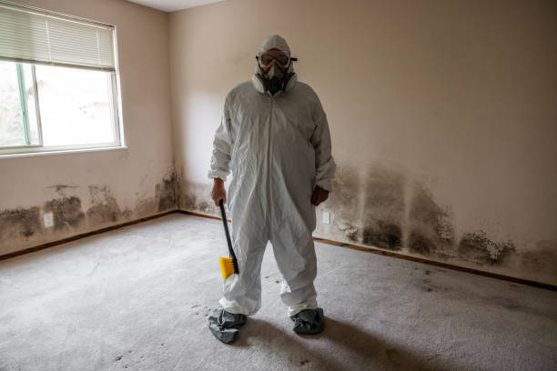 Best Airborne Mold Testing  in Waterman, IL