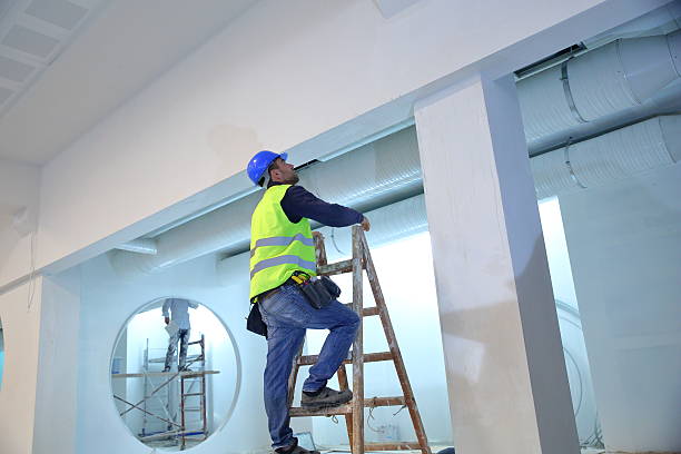 Best Post-Construction Mold Inspection  in Waterman, IL